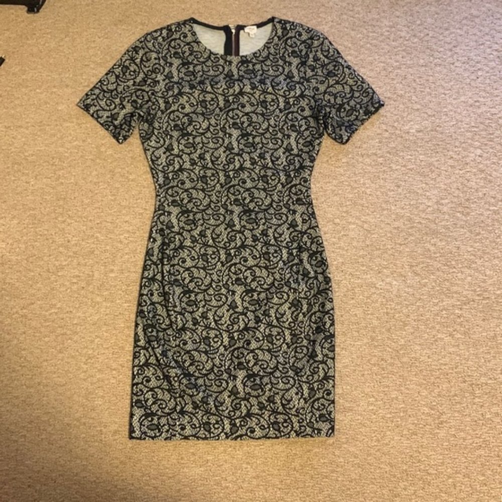 Aritzia Wilfred dress